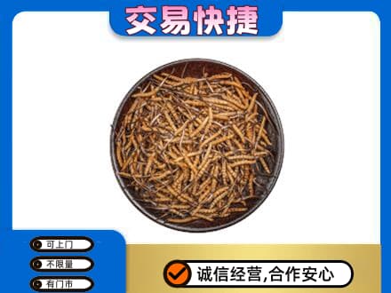珠海回收散虫草